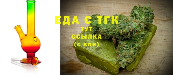 тгк Новозыбков