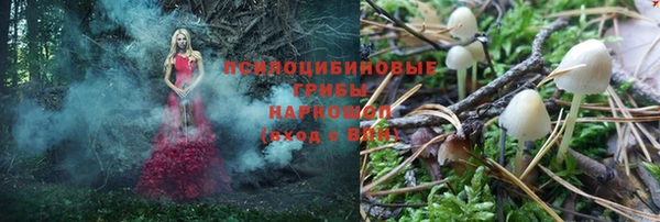 PSILOCYBIN Абинск