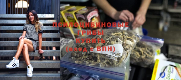 PSILOCYBIN Абинск