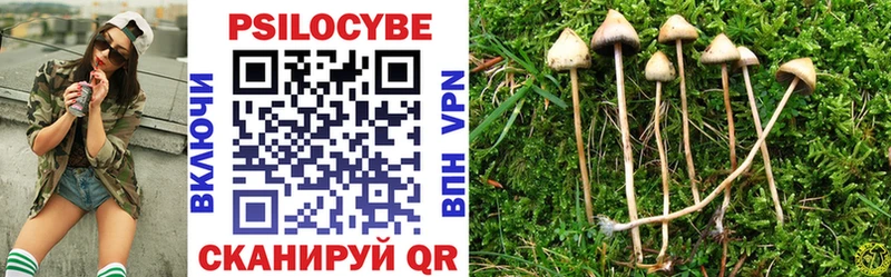 Псилоцибиновые грибы MAGIC MUSHROOMS  Починок 